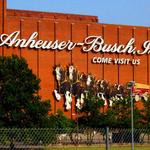 Budweiser Brewery Experience