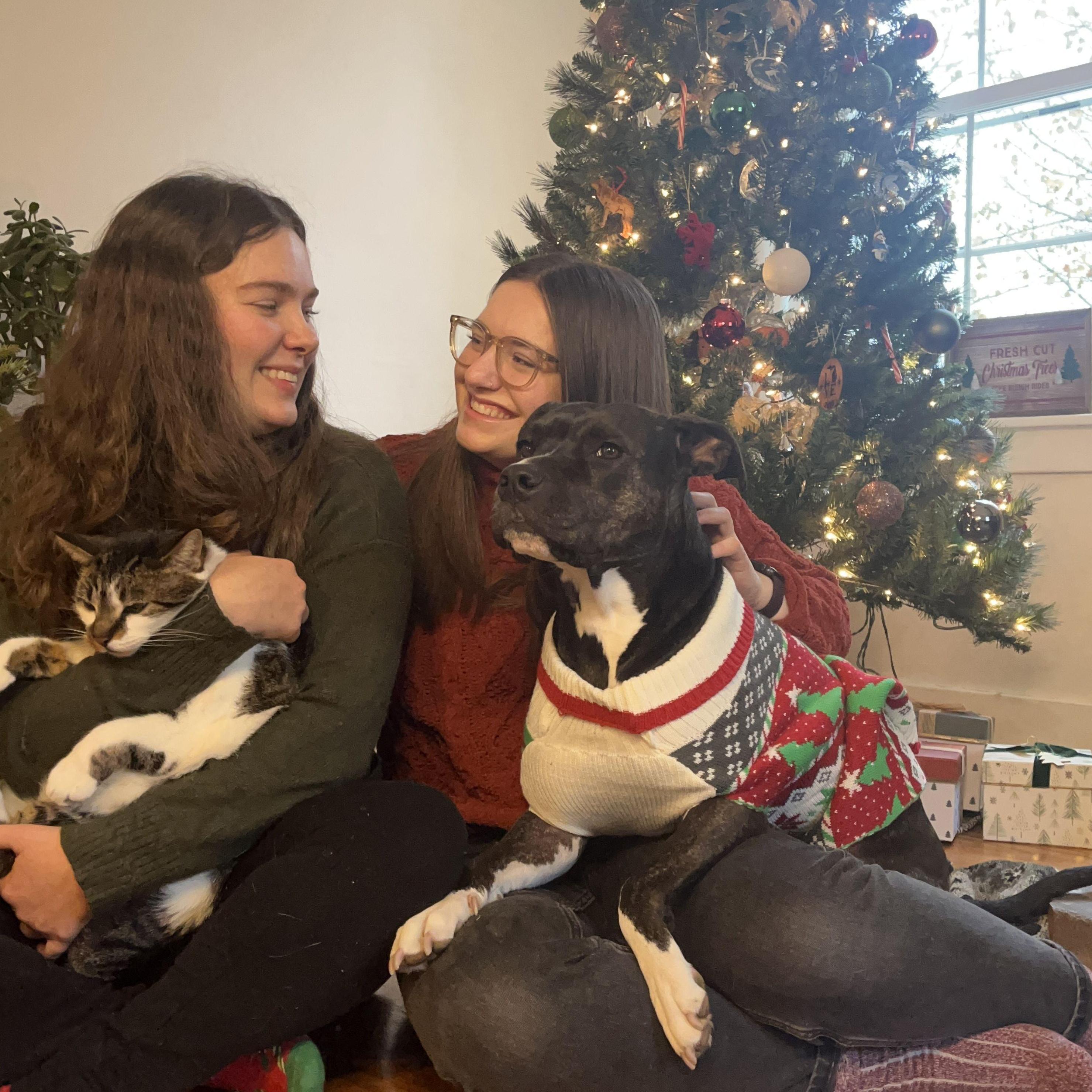 Our first Christmas in our house in Grand Rapids together. Sven and Arya were not very big fans of this photoshoot :)