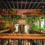 Young Blood Beer Company - King Street