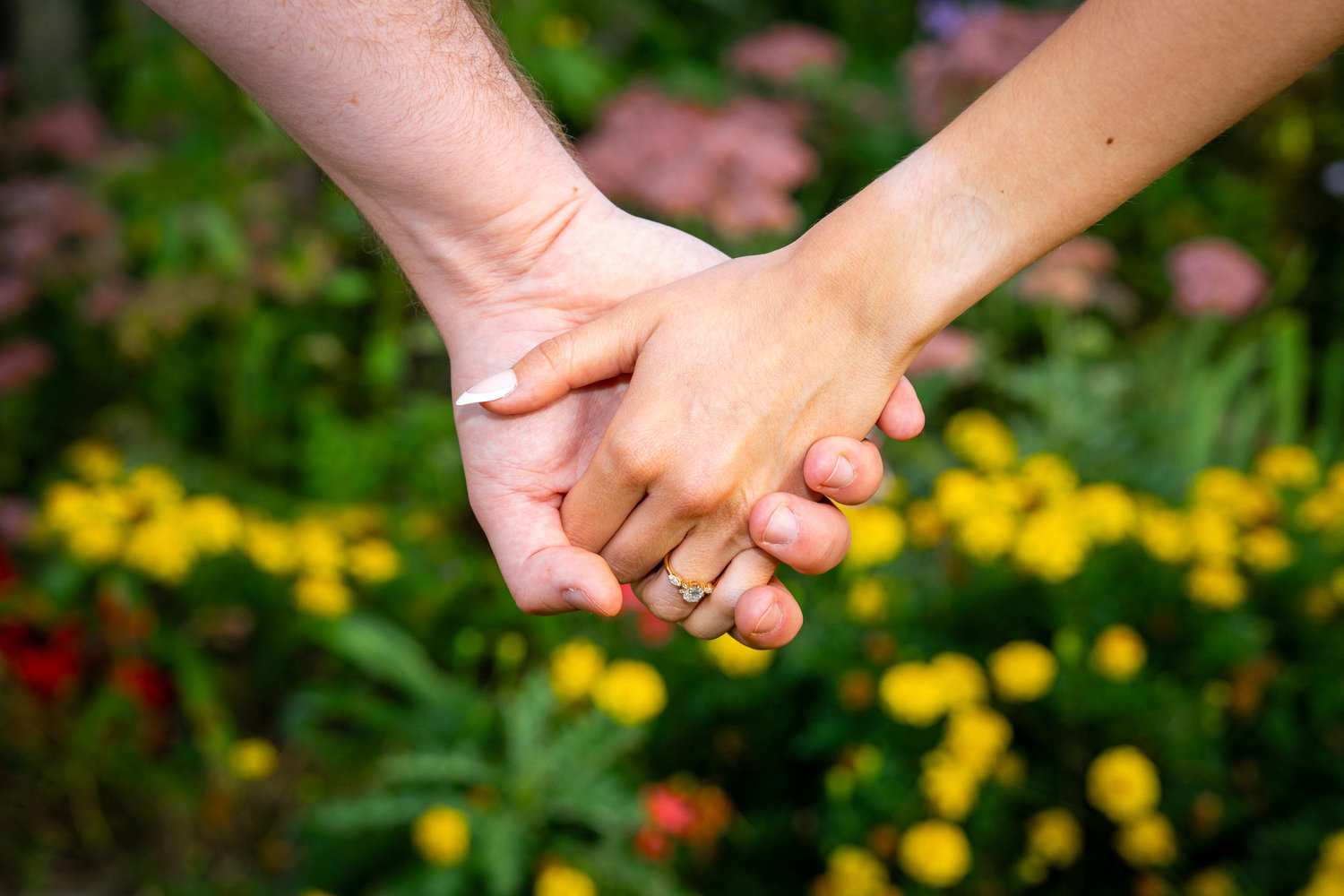 The Wedding Website of Abby Lupescu and Nathan Porter
