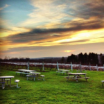 Gouveia Vineyards