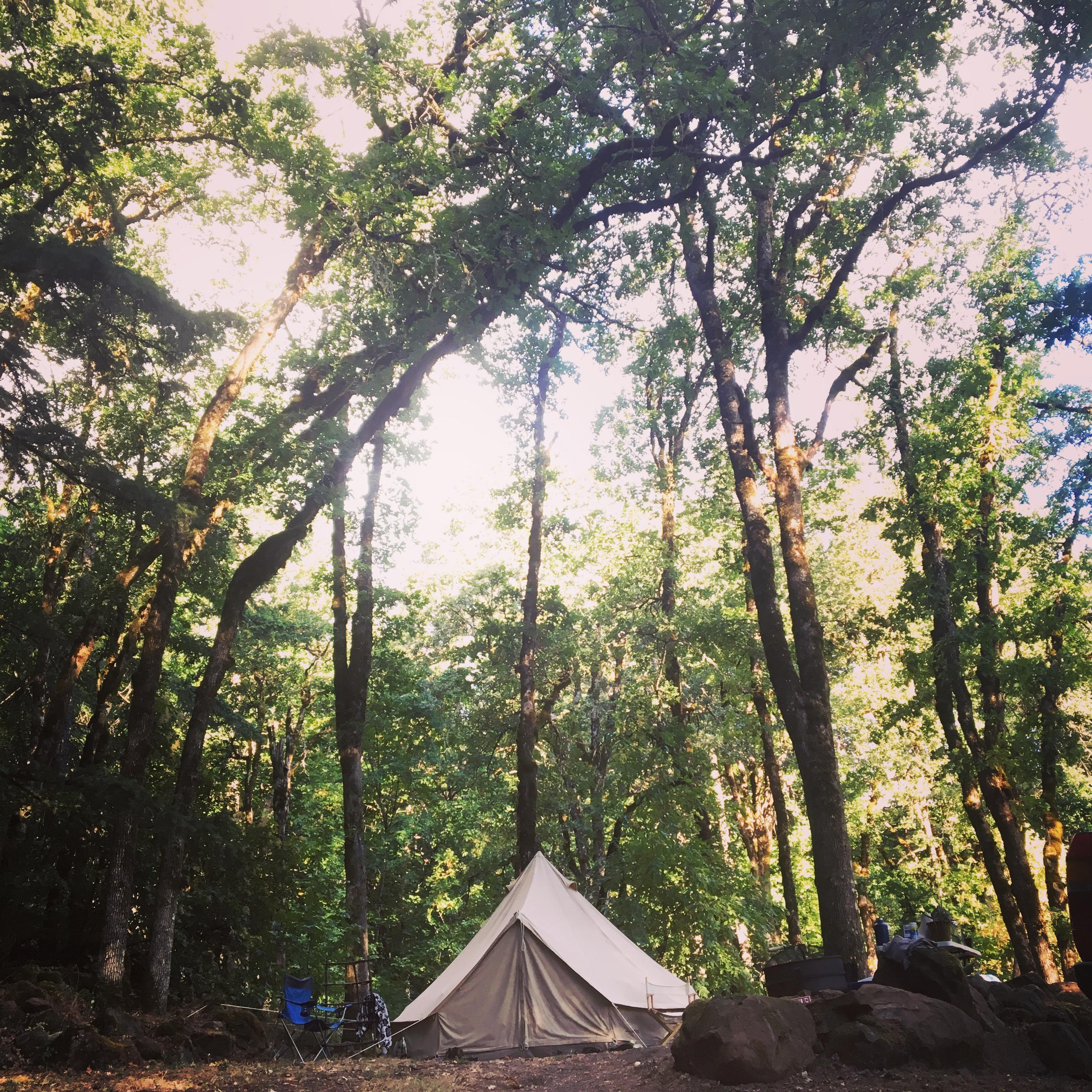 We bought our first (tent) home & moved to Hood River in the Summer of 2018.