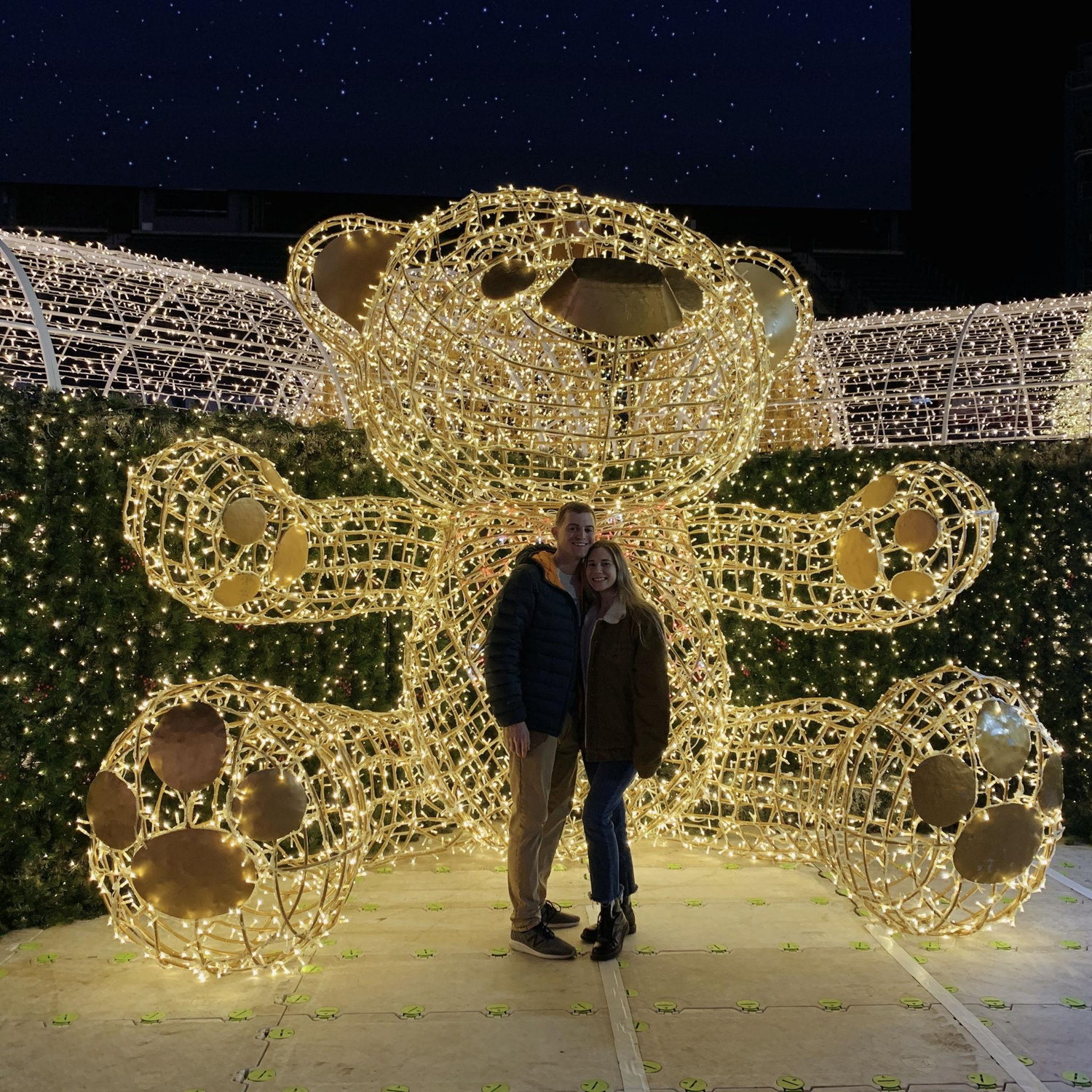 Enchanted Christmas