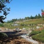 Lava Cap Winery