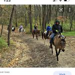 Waymart stables