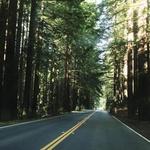 Drive down Route 128 to Calistoga