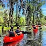 Kayak Swamp Tours and Whitney Plantation Tours