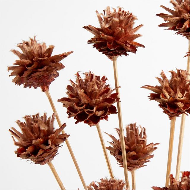 Erin Starcone Bundle 22" by Leanne Ford