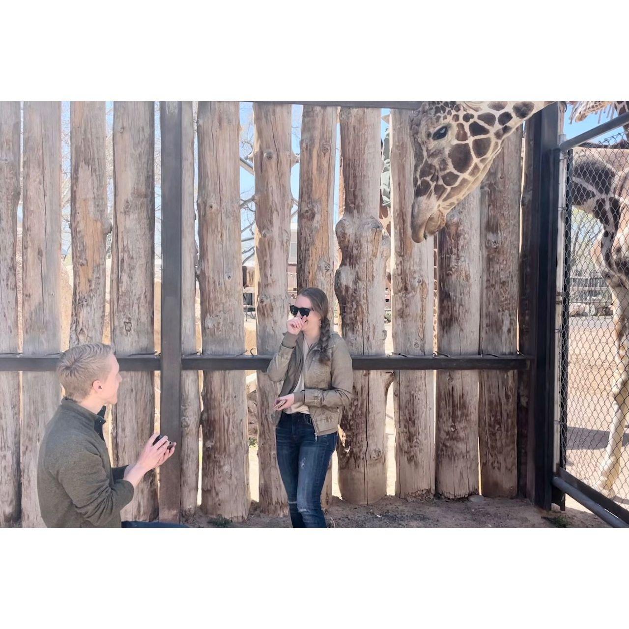 David knew the perfect audience for this moment. Getting to share such a special moment with Juliana's favorite creatures was something we will never forget.