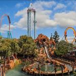 Knott's