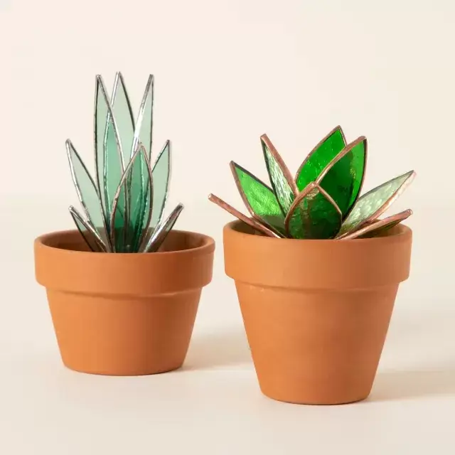 Stained Glass Houseplants