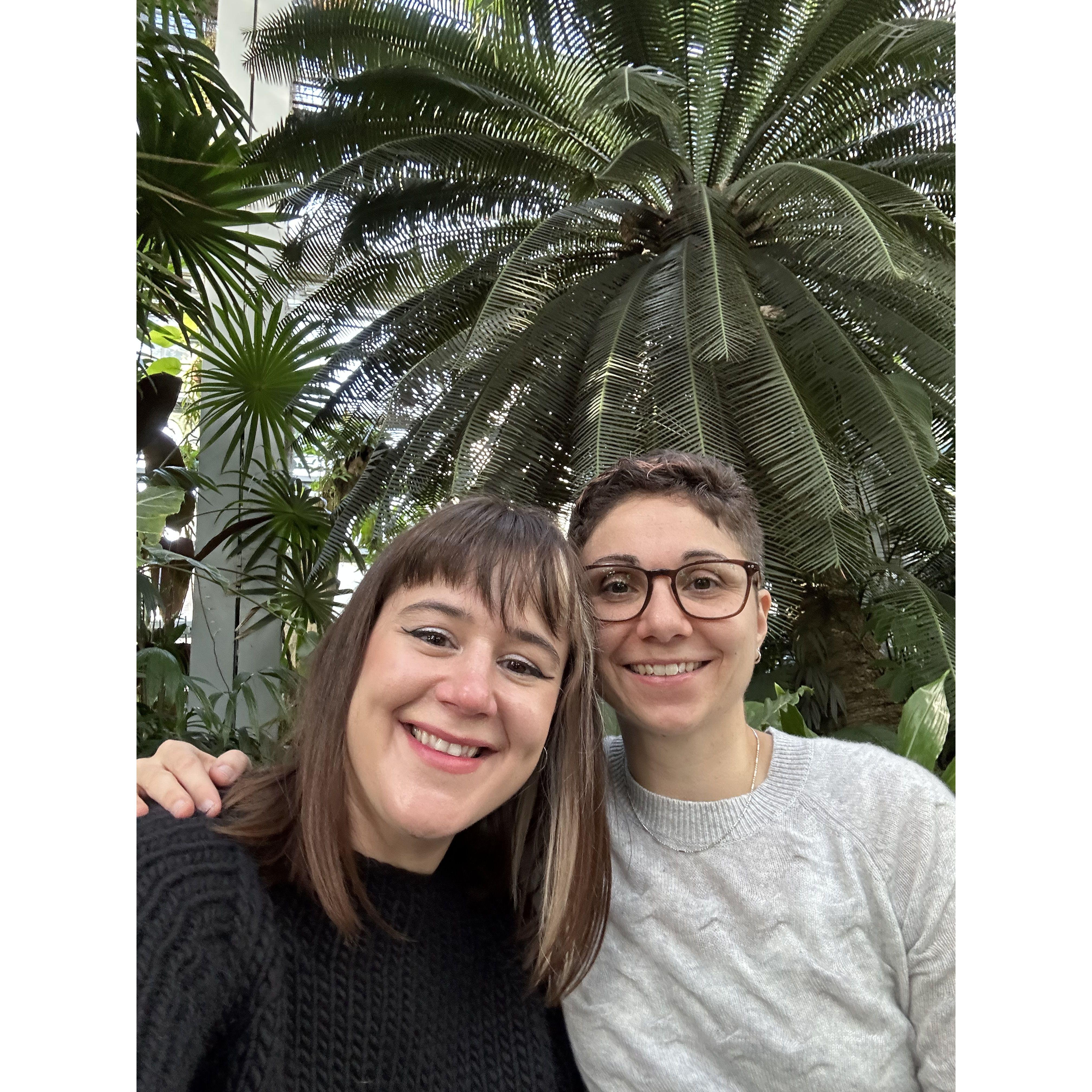 We said our vows underneath this magnificent palm