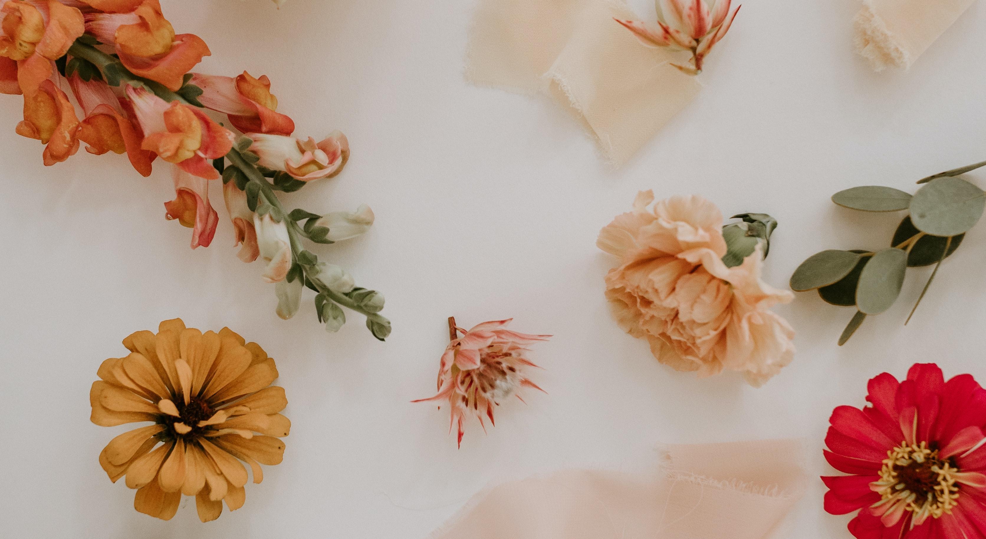 Footer image