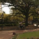 Washington Square