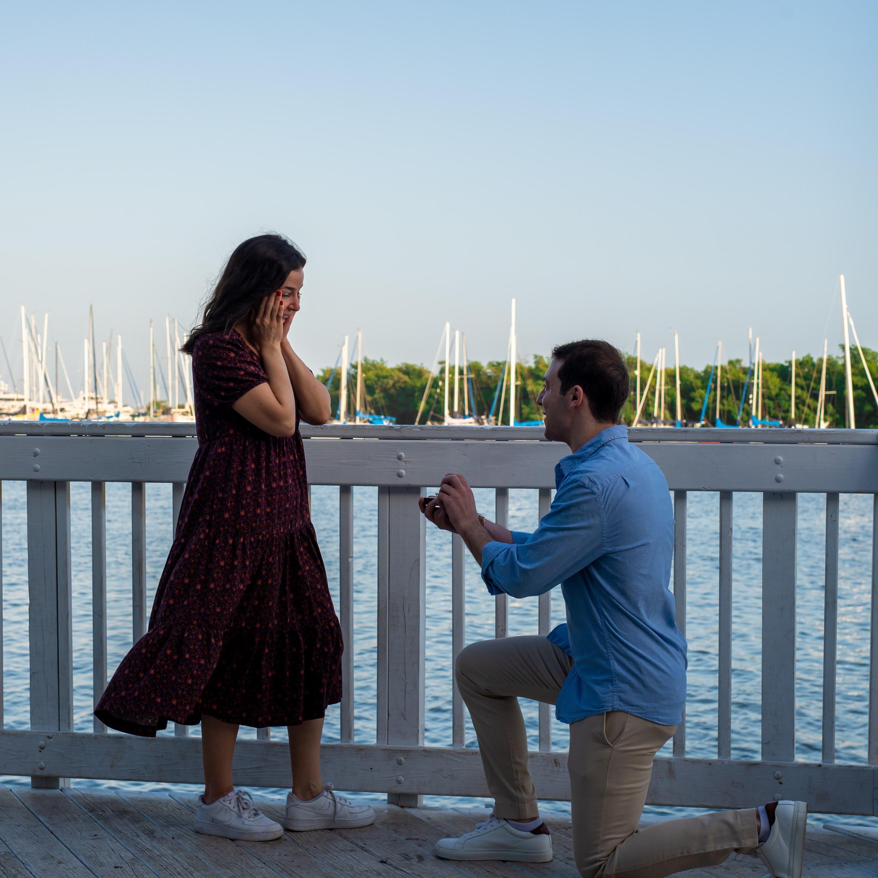 The proposal (February 2022)