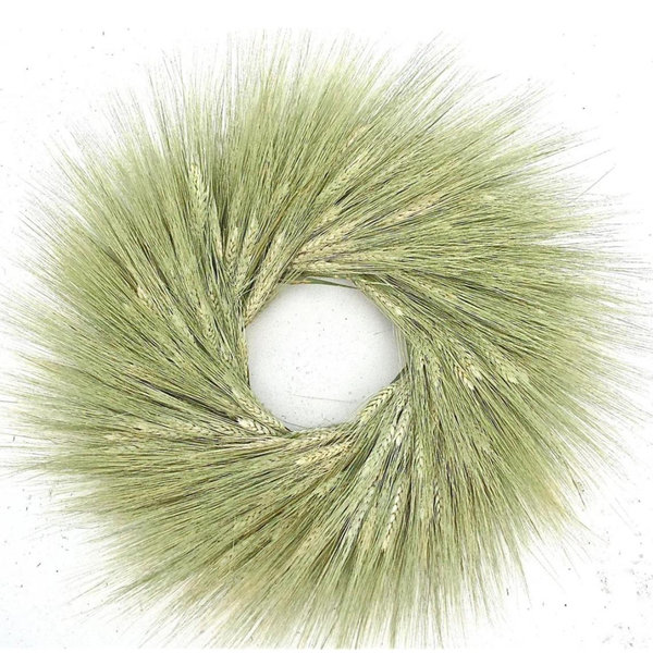 Primrue Dried Green Wheat Wreath | Wayfair