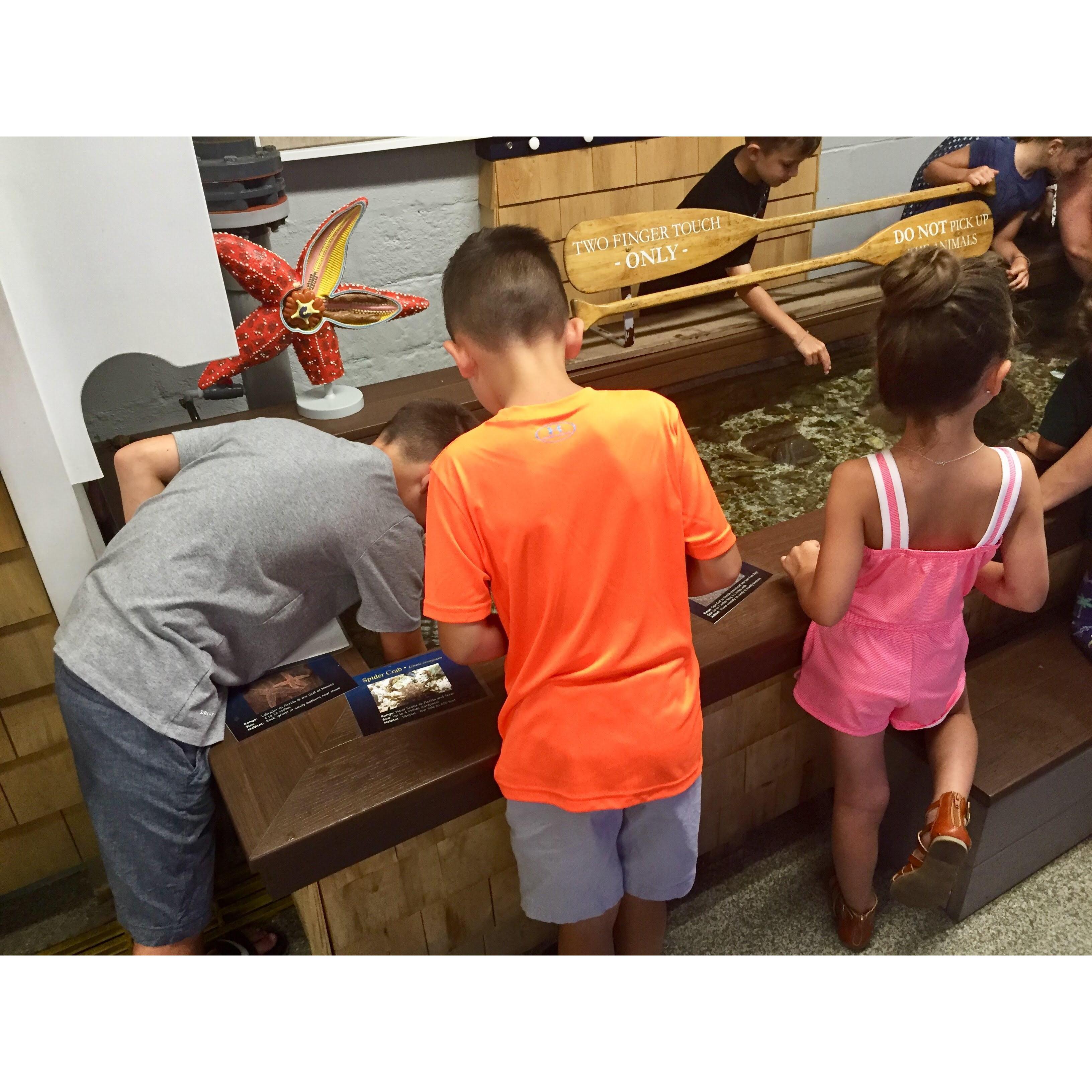 The Woods Hole Aquarium is always a favorite stop for us!