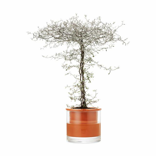 Self-Watering Wet Pots
