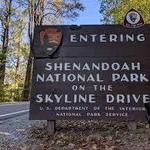 Shenandoah National Park + Hikes