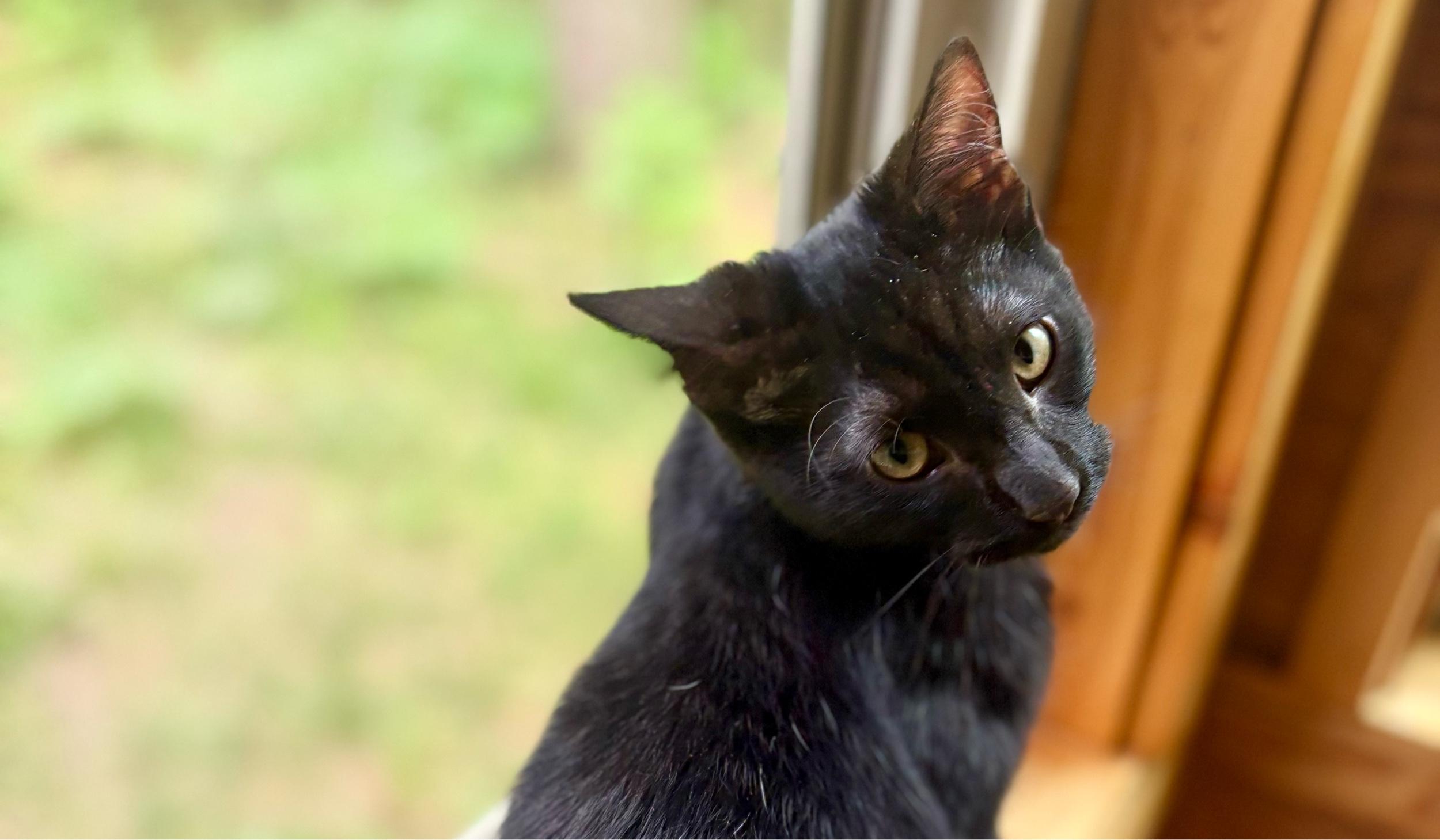 The Wedding Website of Taj Kniceley and Tyler Swanson