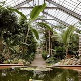 Matthaei Botanical Gardens