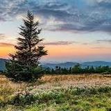 Roan Mountain State Park