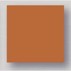 Burnt Orange