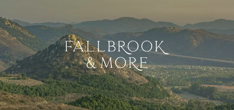 The Wedding Website of Amy Schools and Bryce Komae