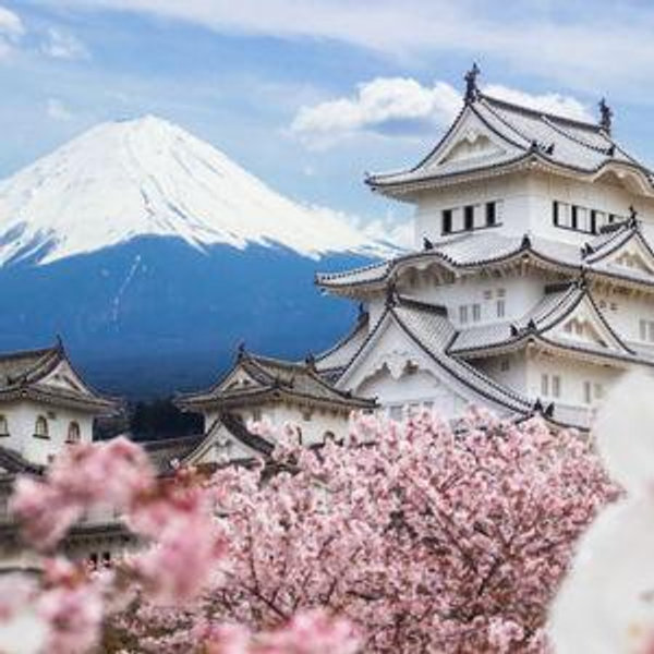 Our Japan Honeymoon!