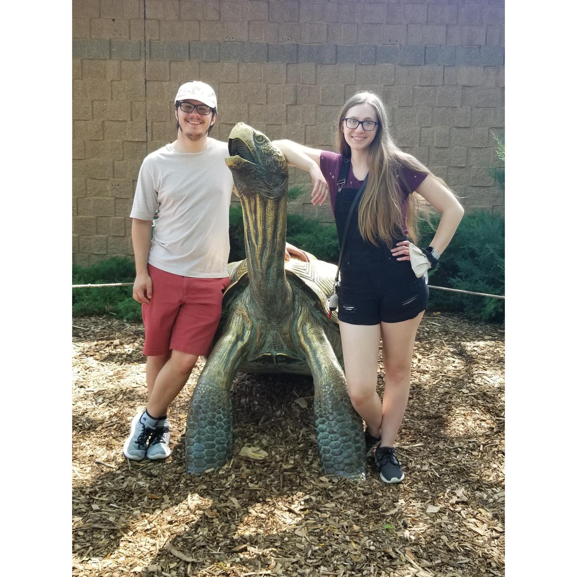 Vacations & Adventures