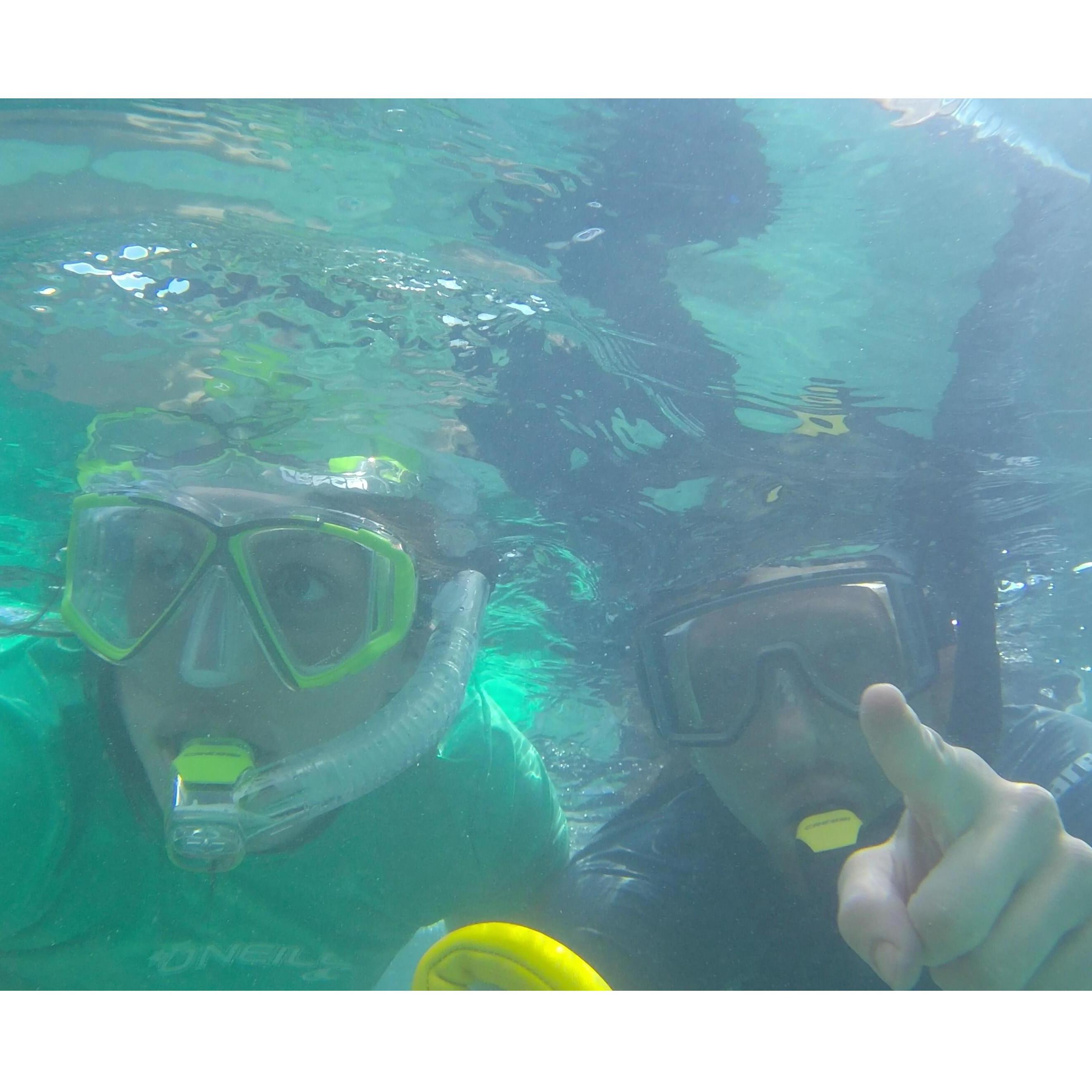 Snorkel