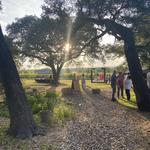 William Chris Vineyards