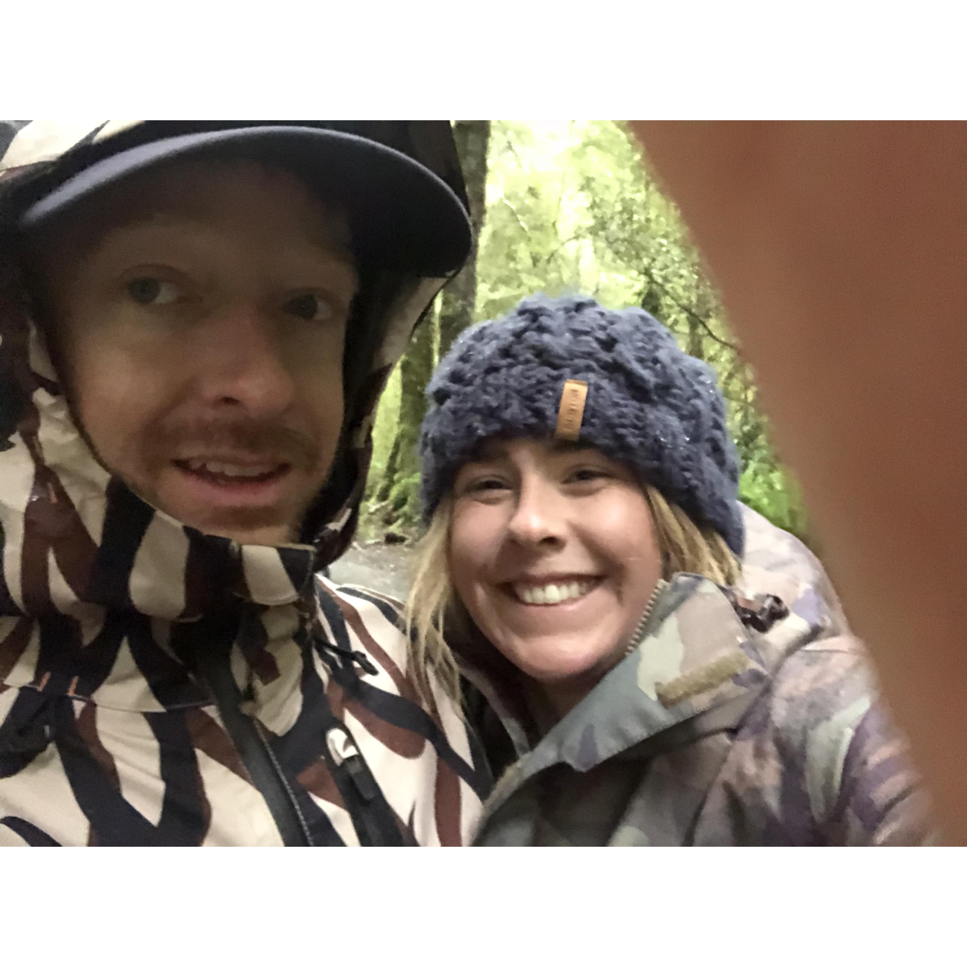 New Zealand jungle