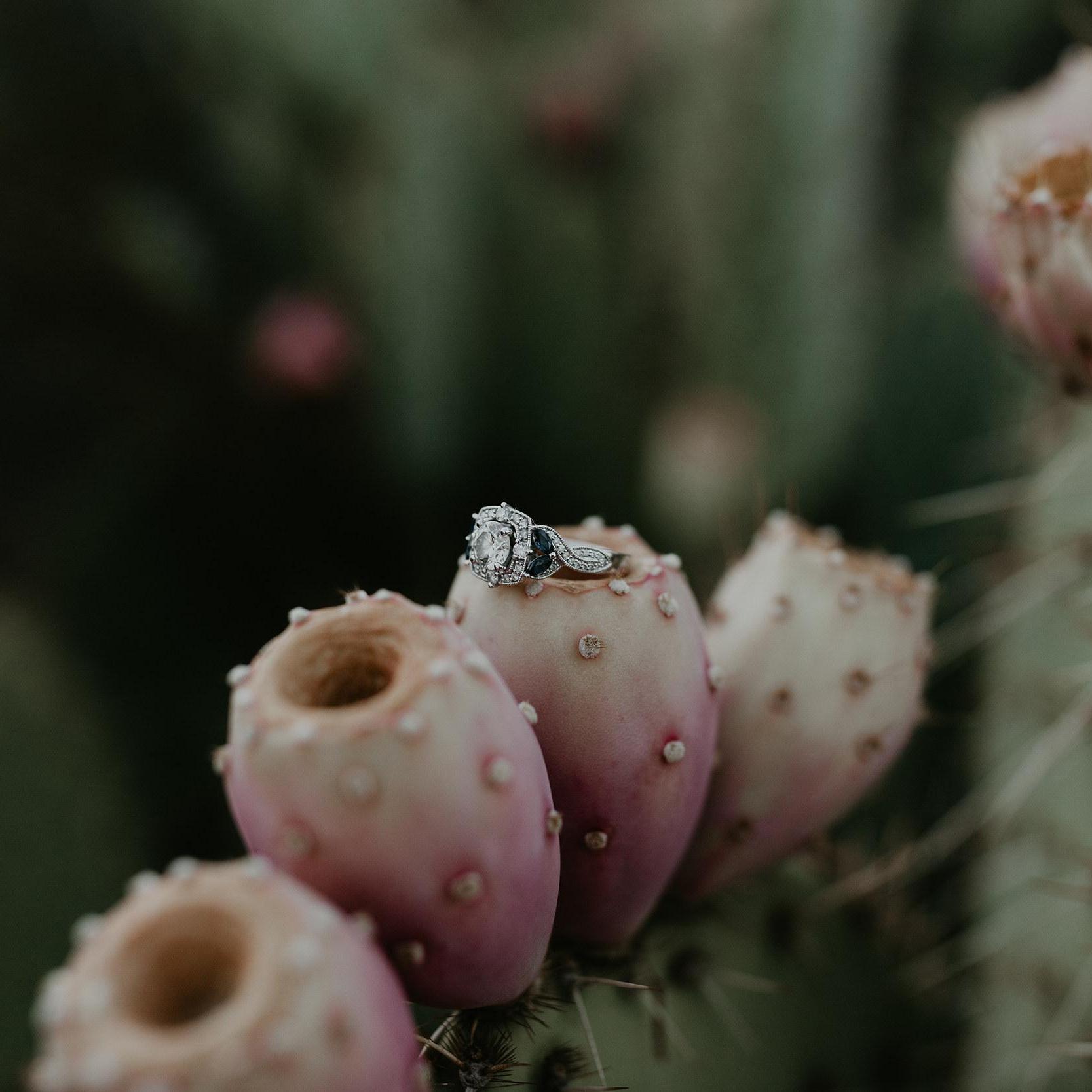 Courtesy of Kalimphotos