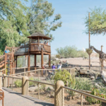 Phoenix Zoo