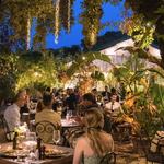 Serre Torrigiani in Piazzetta