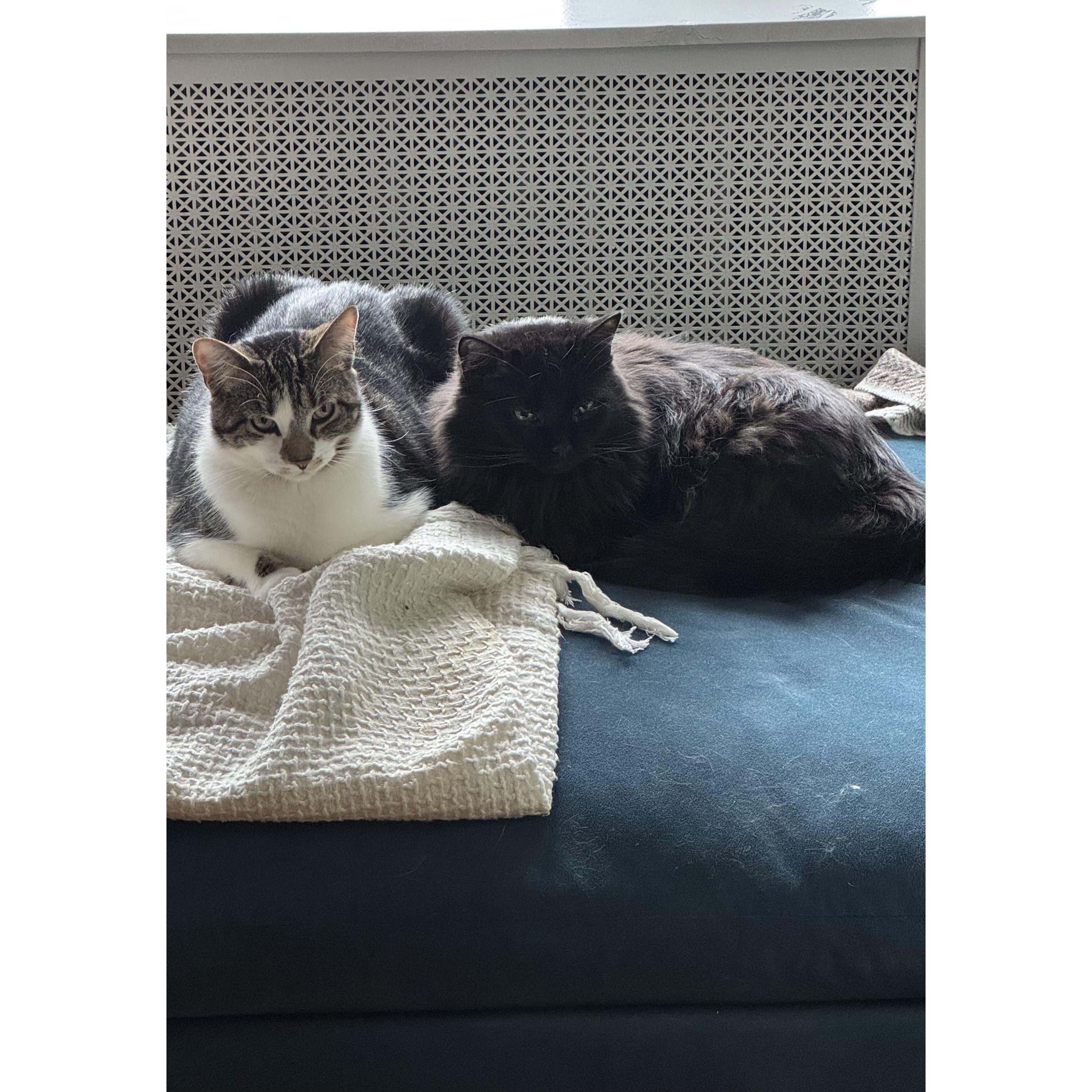 Our boys!