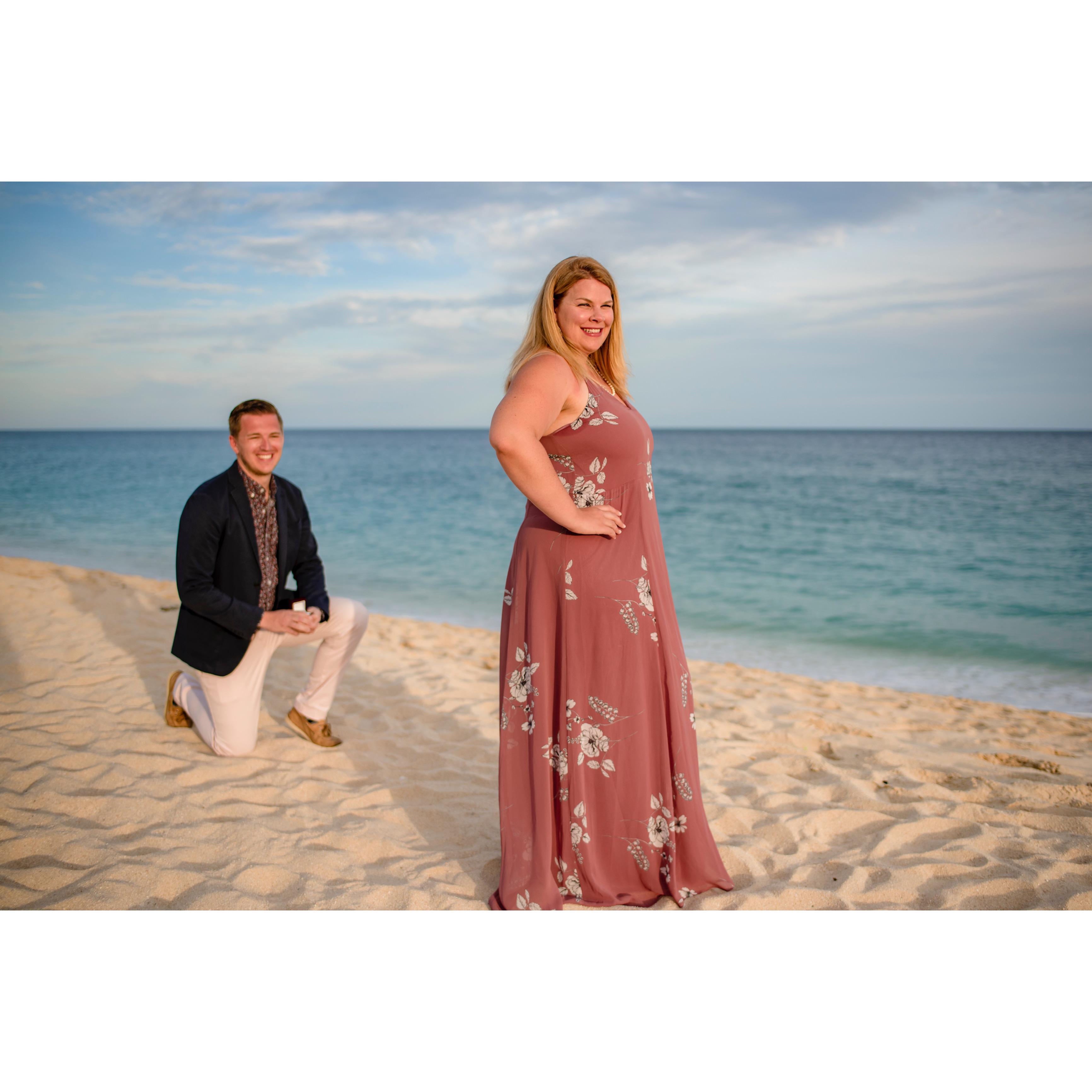 3/28/2021:  A Romantic Proposal