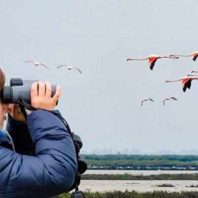 Birdwatching Trip