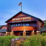 Wonders Of Wildlife National Museum & Aquarium