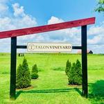 Talon Winery & Vineyards