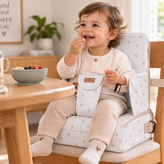 Fly Free Booster Seat
