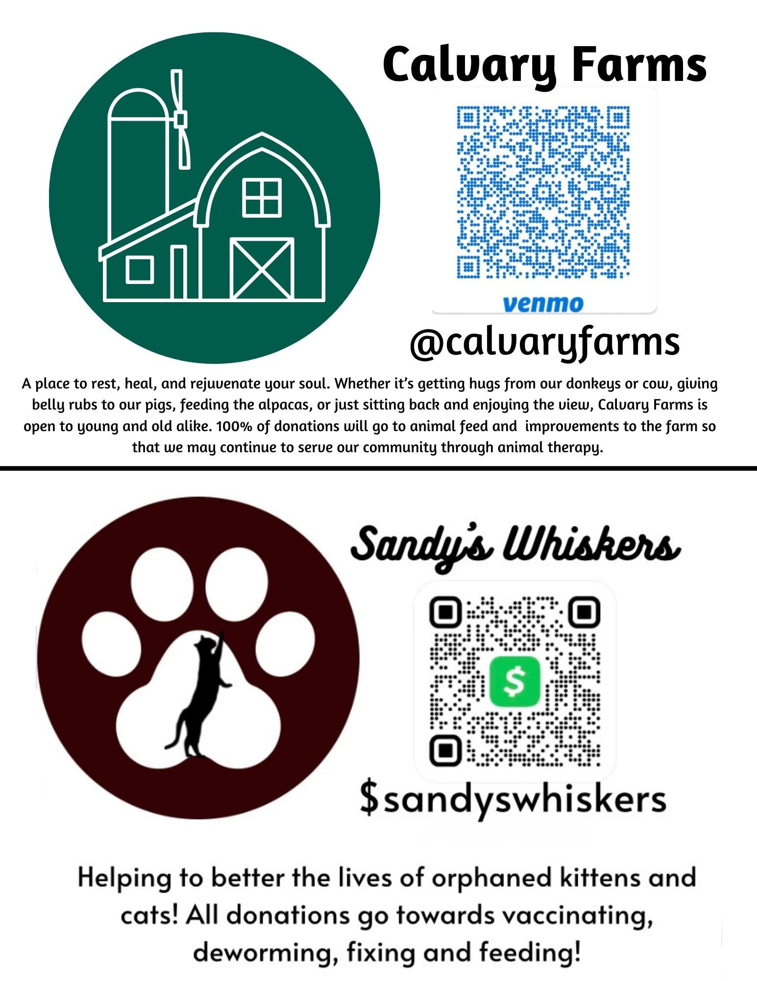 2e19e6d4-4803-4c81-8a36-c21a6ab3eed0