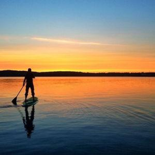 Paddle Board Rentals