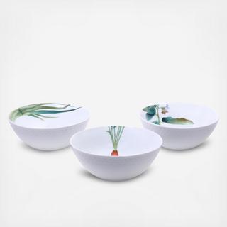 Kyoka Shunsai Bowl, Set of 3