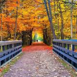 Paint Creek Trail