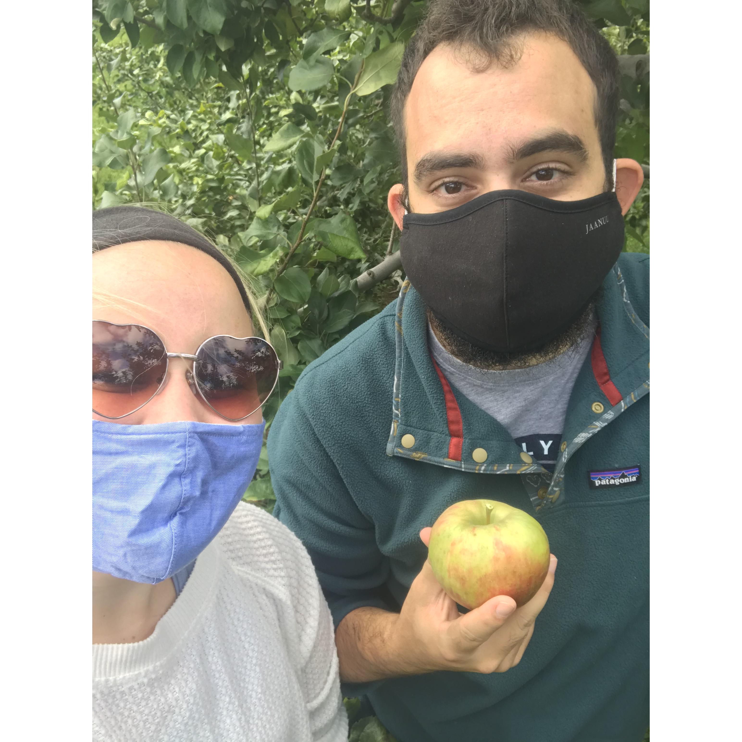 Apple picking at Battleview Orchards!
