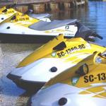 Sea Monkeys Watersports