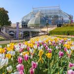 Phipps Conservatory and Botanical Gardens