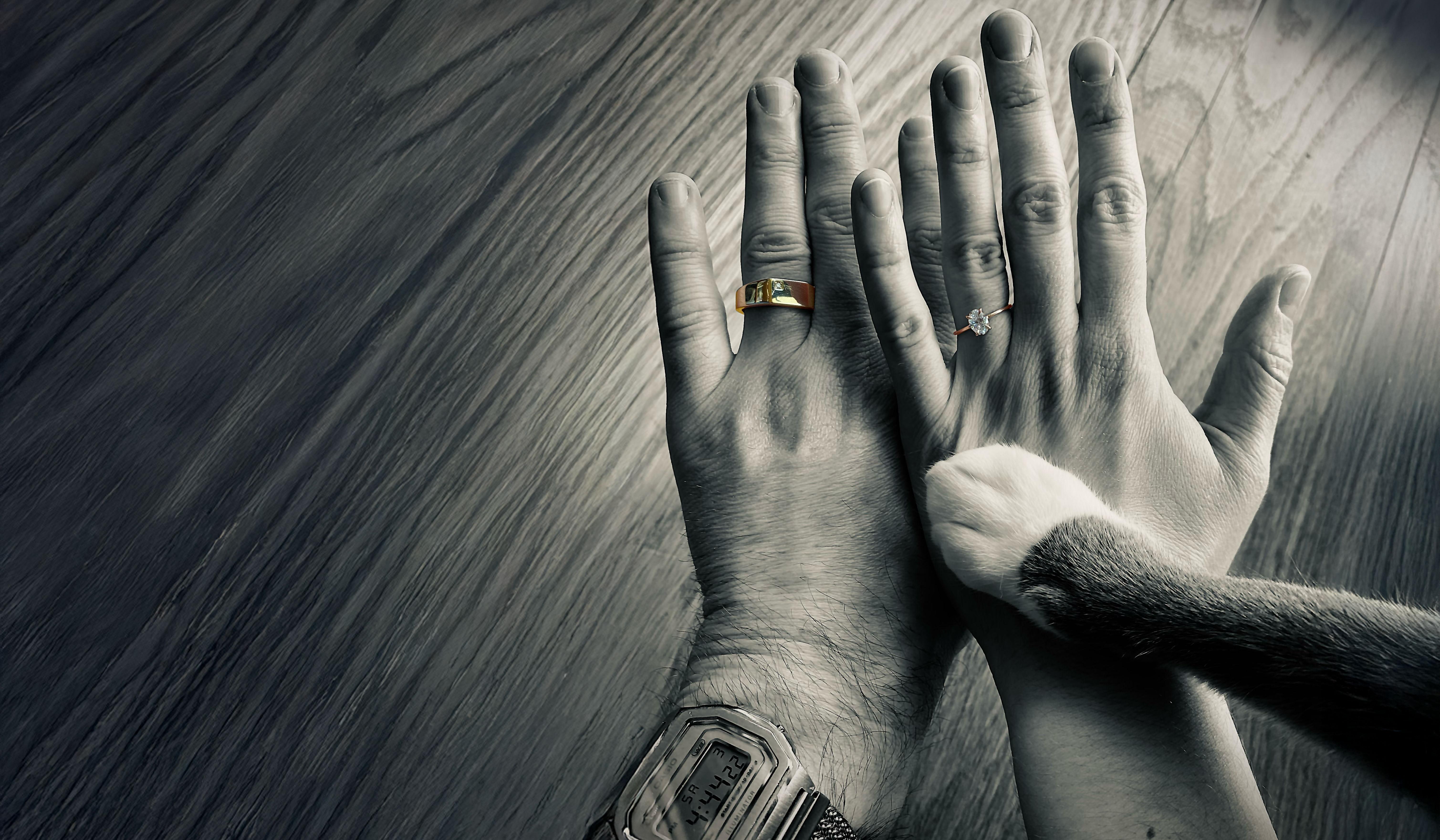 Hero Slideshow Image 0